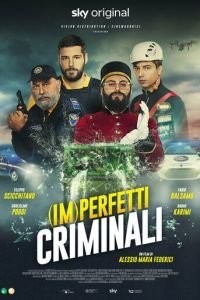 (Im)perfetti criminali