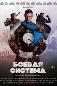 Боевая система