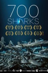 700 акул