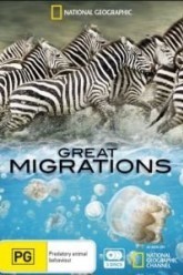 Великие миграции