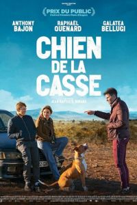 Chien de la casse